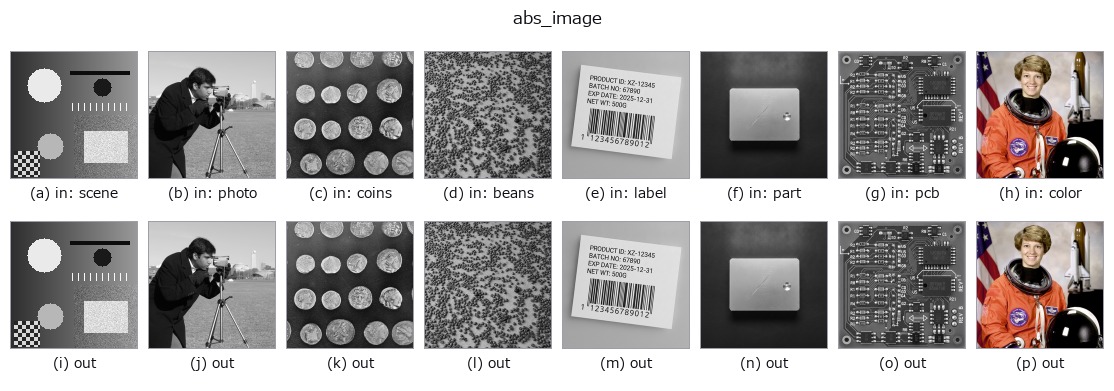 abs_image: other inputs