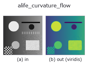 alife_curvature_flow: input → output