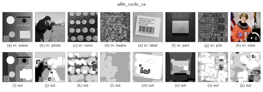 alife_cyclic_ca: other inputs