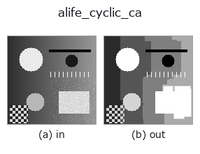 alife_cyclic_ca: input → output