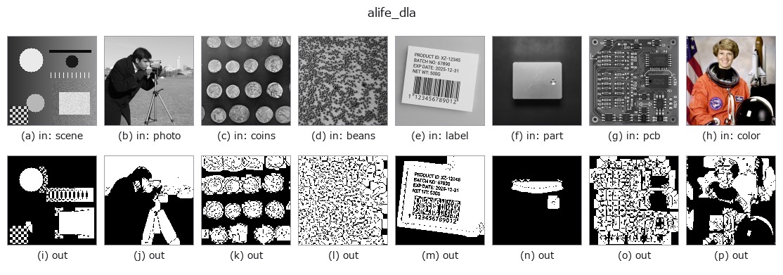 alife_dla: other inputs