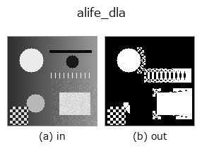 alife_dla: input → output