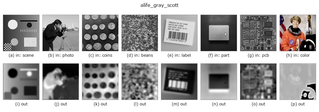 alife_gray_scott: other inputs