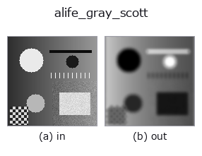 alife_gray_scott: input → output