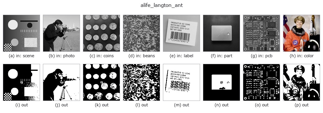 alife_langton_ant: other inputs