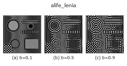 alife_lenia: knob b sweep