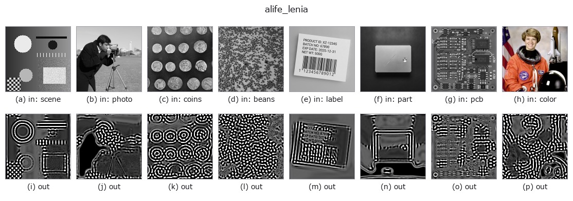 alife_lenia: other inputs