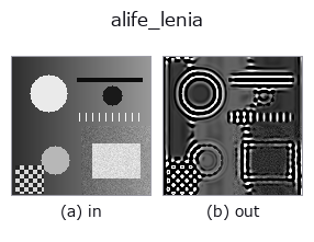 alife_lenia: input → output