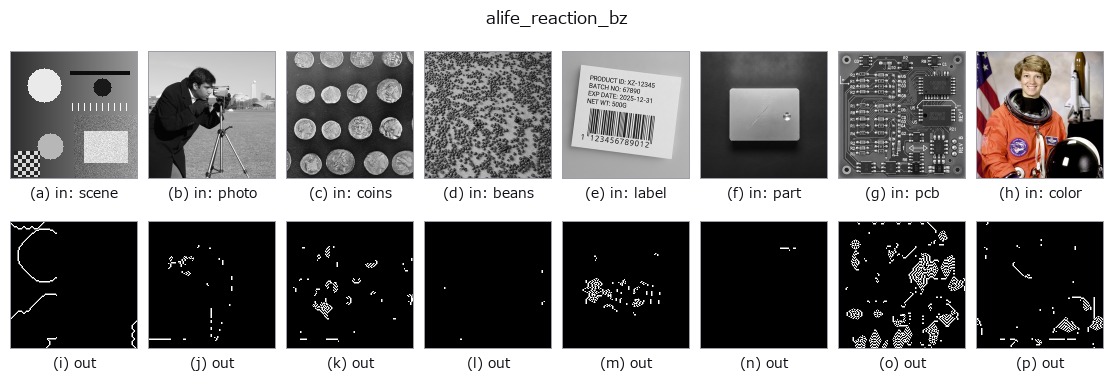 alife_reaction_bz: other inputs