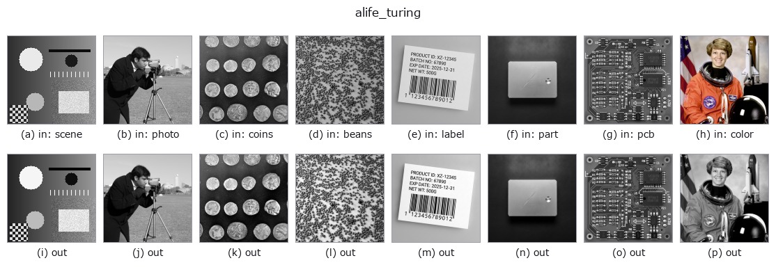 alife_turing: other inputs