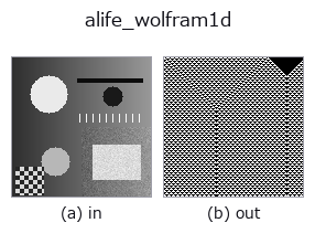 alife_wolfram1d: input → output
