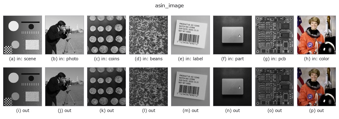 asin_image: other inputs