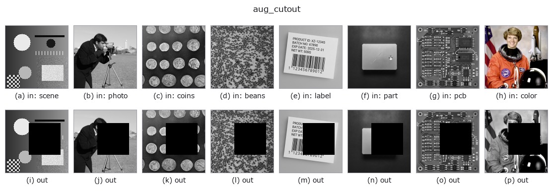 aug_cutout: other inputs