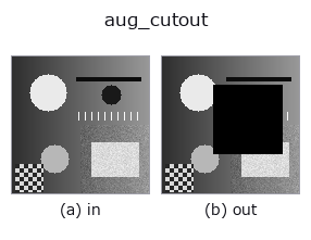 aug_cutout: input → output