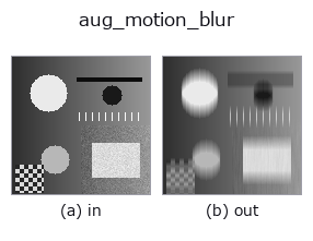 aug_motion_blur: input → output