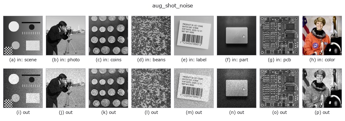 aug_shot_noise: other inputs