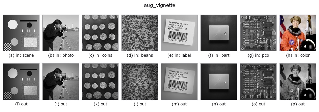aug_vignette: other inputs
