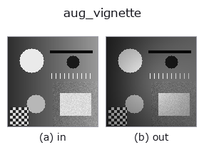 aug_vignette: input → output