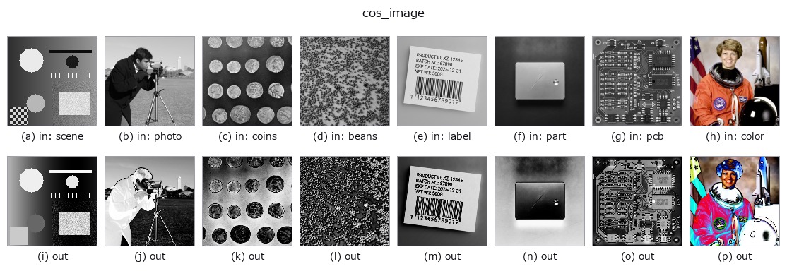 cos_image: other inputs