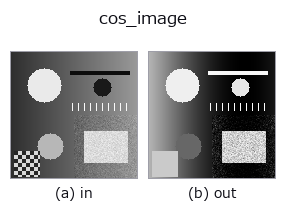 cos_image: input → output