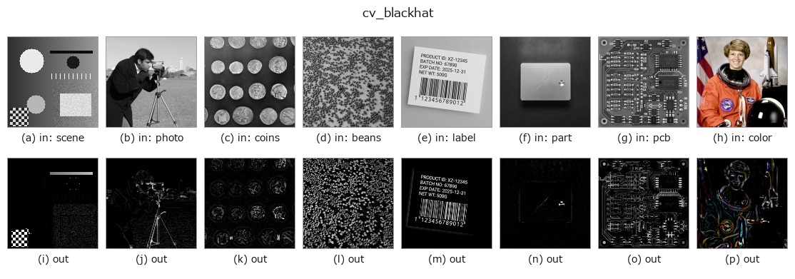 cv_blackhat: other inputs