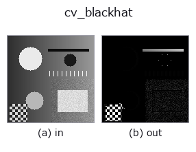 cv_blackhat: input → output