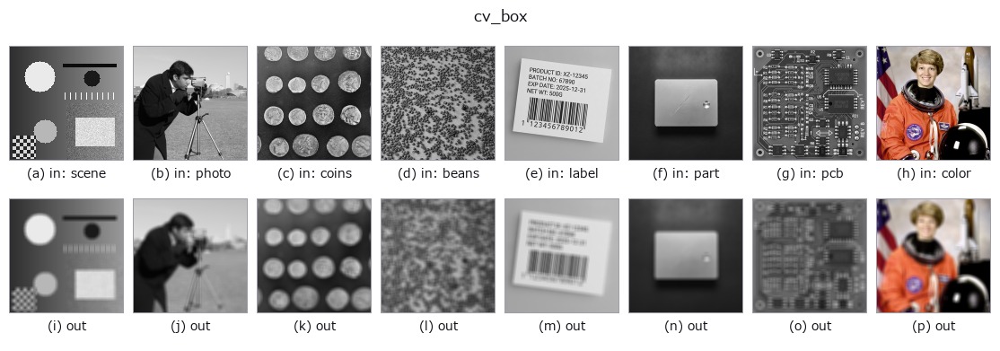 cv_box: other inputs