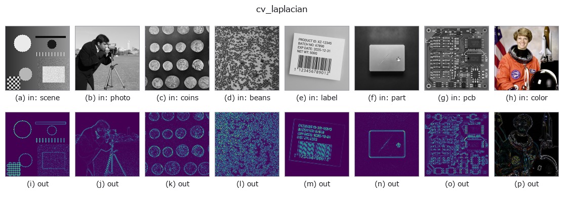 cv_laplacian: other inputs