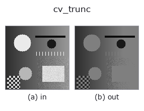 cv_trunc: input → output