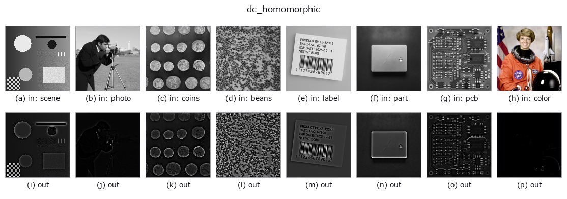 dc_homomorphic: other inputs