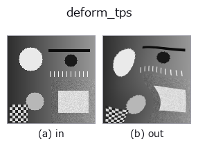 deform_tps: input → output