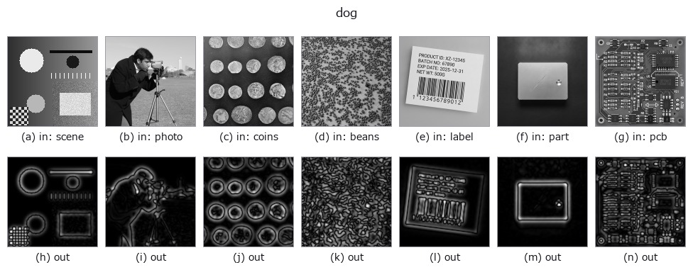 dog: other inputs