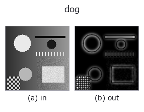 dog: input → output