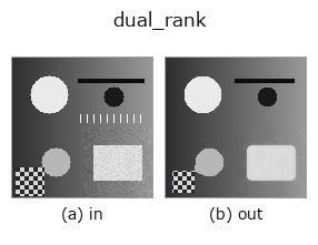 dual_rank: input → output