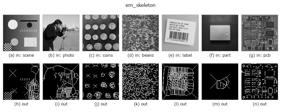 em_skeleton: other inputs