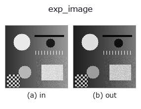 exp_image: input → output