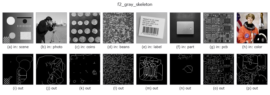 f2_gray_skeleton: other inputs