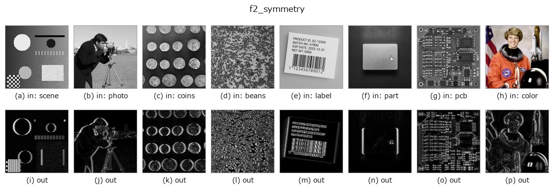 f2_symmetry: other inputs
