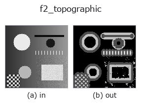 f2_topographic: input → output