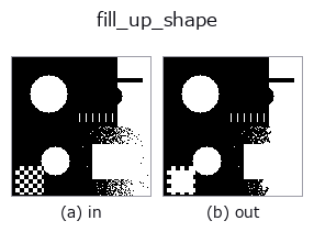 fill_up_shape: input → output