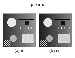 gamma: input → output