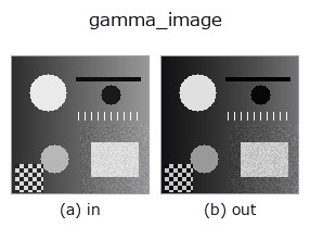 gamma_image: input → output