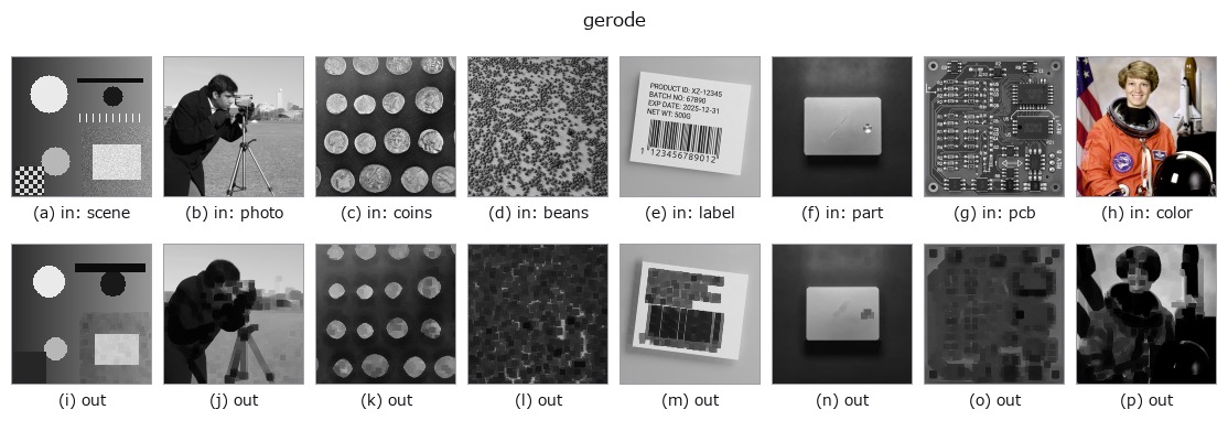 gerode: other inputs