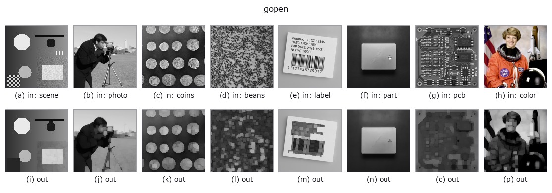 gopen: other inputs