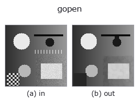 gopen: input → output