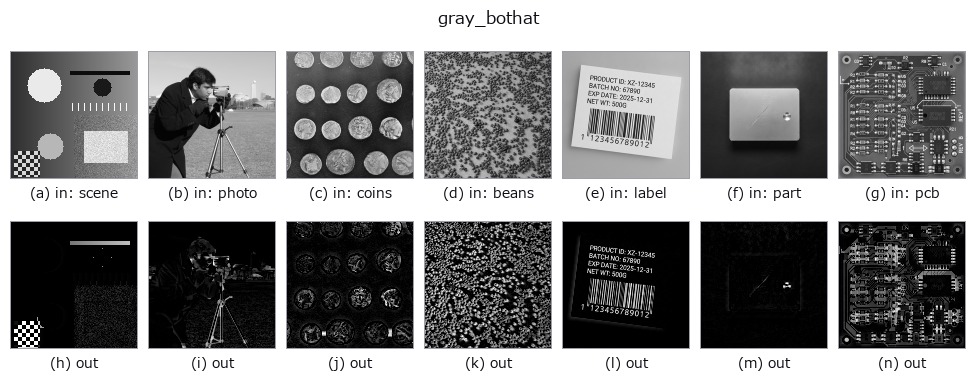 gray_bothat: other inputs