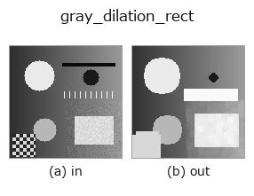 gray_dilation_rect: input → output