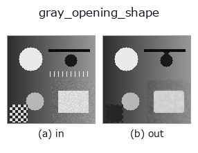 gray_opening_shape: input → output