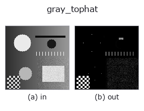gray_tophat: input → output