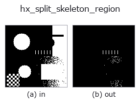 hx_split_skeleton_region: input → output